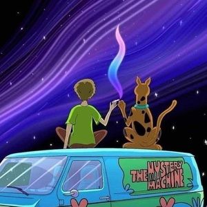 Meet your Posher, Kaydence